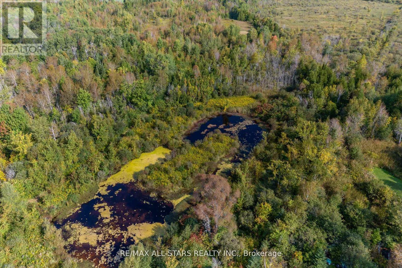 Lot 1 Four Points Road, Kawartha Lakes, Ontario  K0M 1L0 - Photo 10 - X12255210