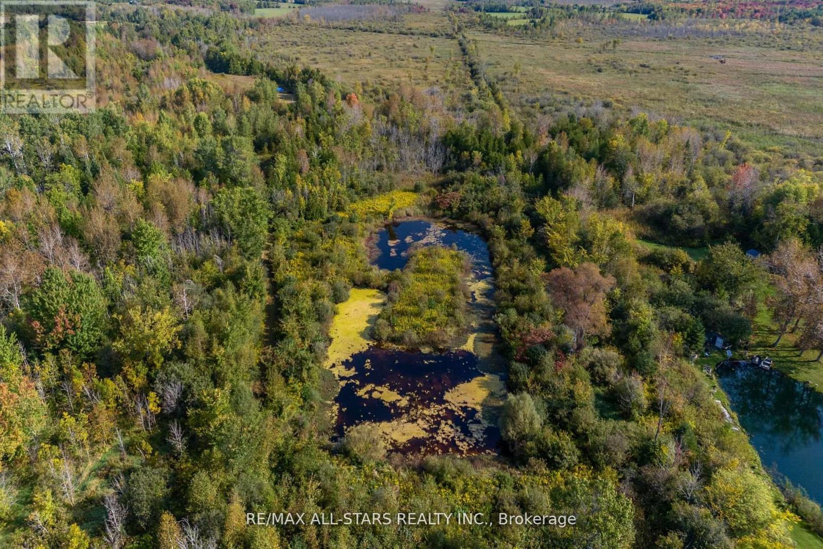Lot 1 Four Points Road, Kawartha Lakes, Ontario  K0M 1L0 - Photo 11 - X12255210