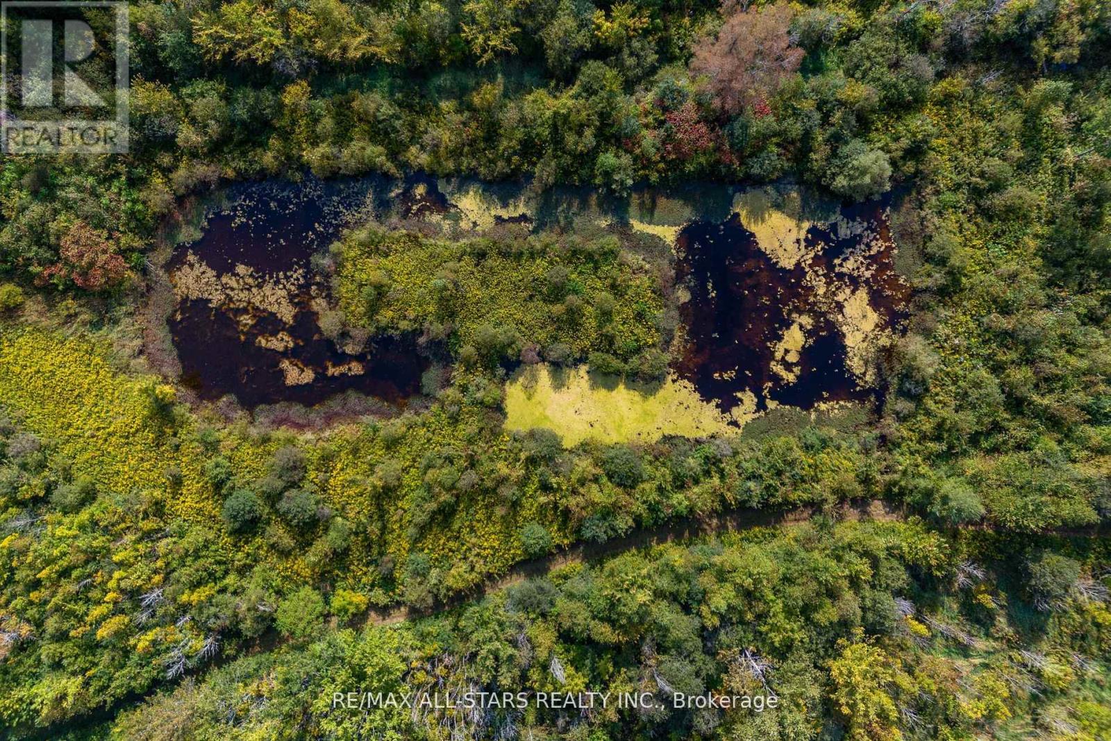 Lot 1 Four Points Road, Kawartha Lakes, Ontario  K0M 1L0 - Photo 12 - X12255210