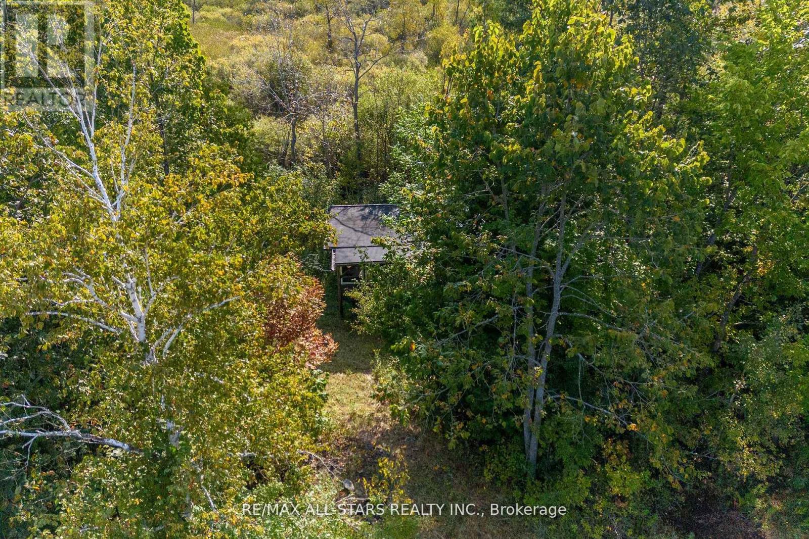 Lot 1 Four Points Road, Kawartha Lakes, Ontario  K0M 1L0 - Photo 18 - X12255210
