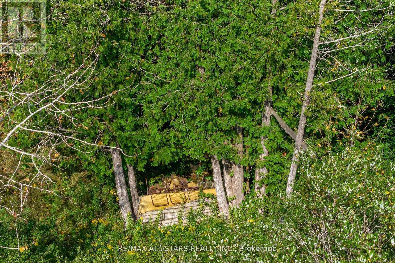 Lot 1 Four Points Road, Kawartha Lakes, Ontario  K0M 1L0 - Photo 22 - X12255210