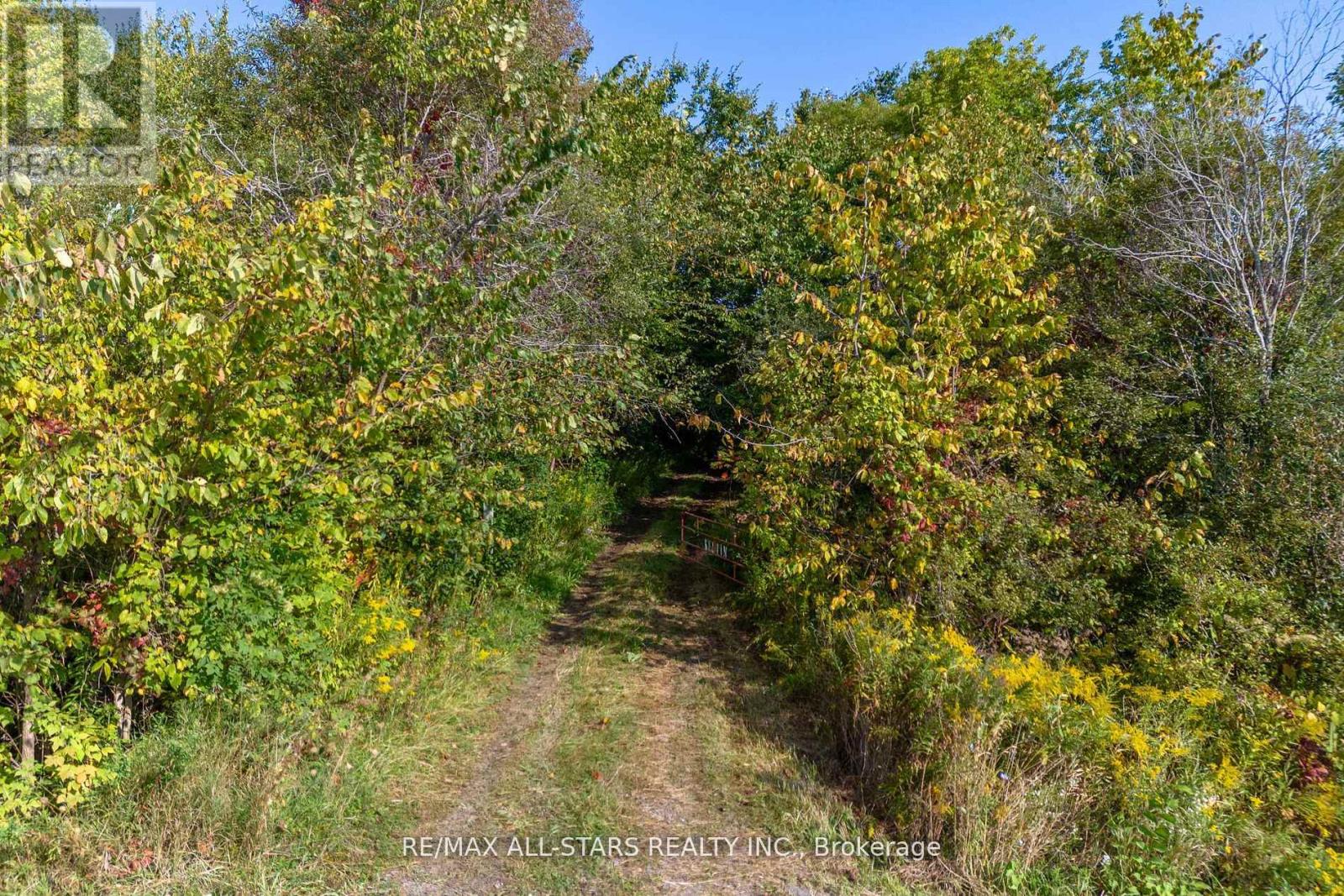 Lot 1 Four Points Road, Kawartha Lakes, Ontario  K0M 1L0 - Photo 23 - X12255210
