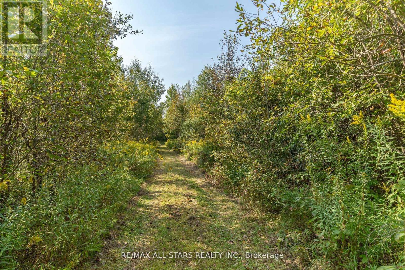 Lot 1 Four Points Road, Kawartha Lakes, Ontario  K0M 1L0 - Photo 26 - X12255210