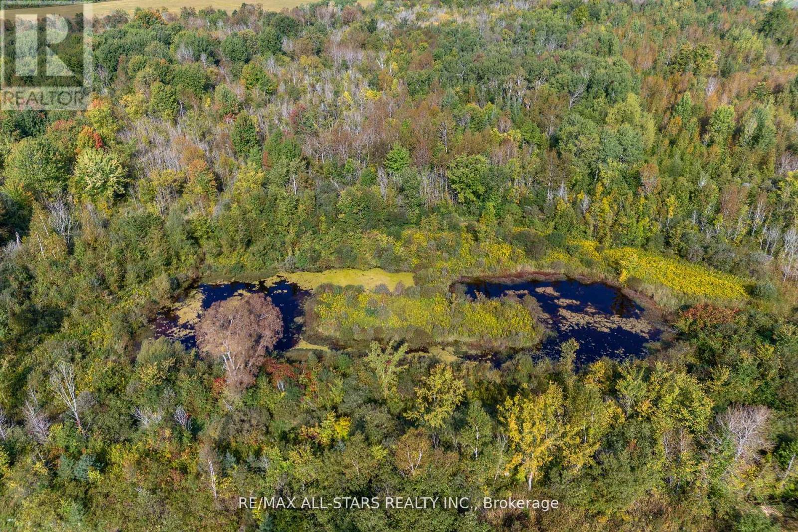 Lot 1 Four Points Road, Kawartha Lakes, Ontario  K0M 1L0 - Photo 9 - X12255210