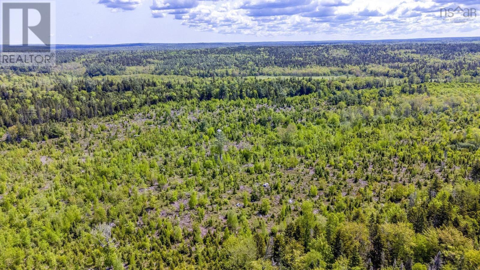 10 Highway, New Albany, Nova Scotia  B0S 1P0 - Photo 11 - 202514419