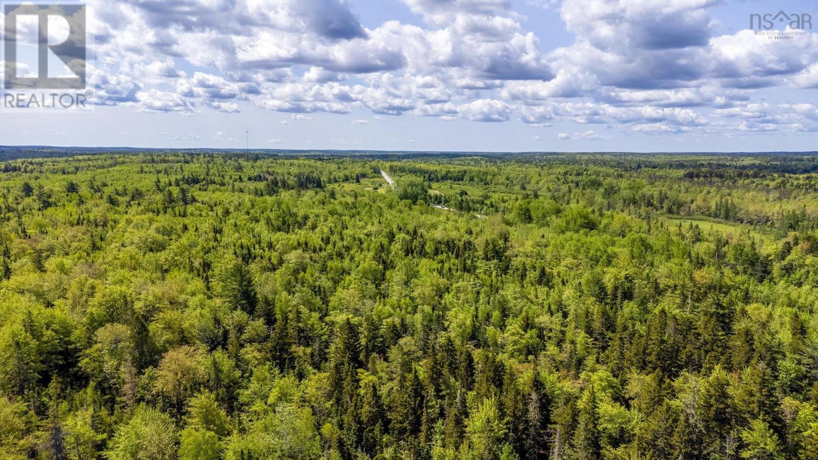 10 Highway, New Albany, Nova Scotia  B0S 1P0 - Photo 26 - 202514419