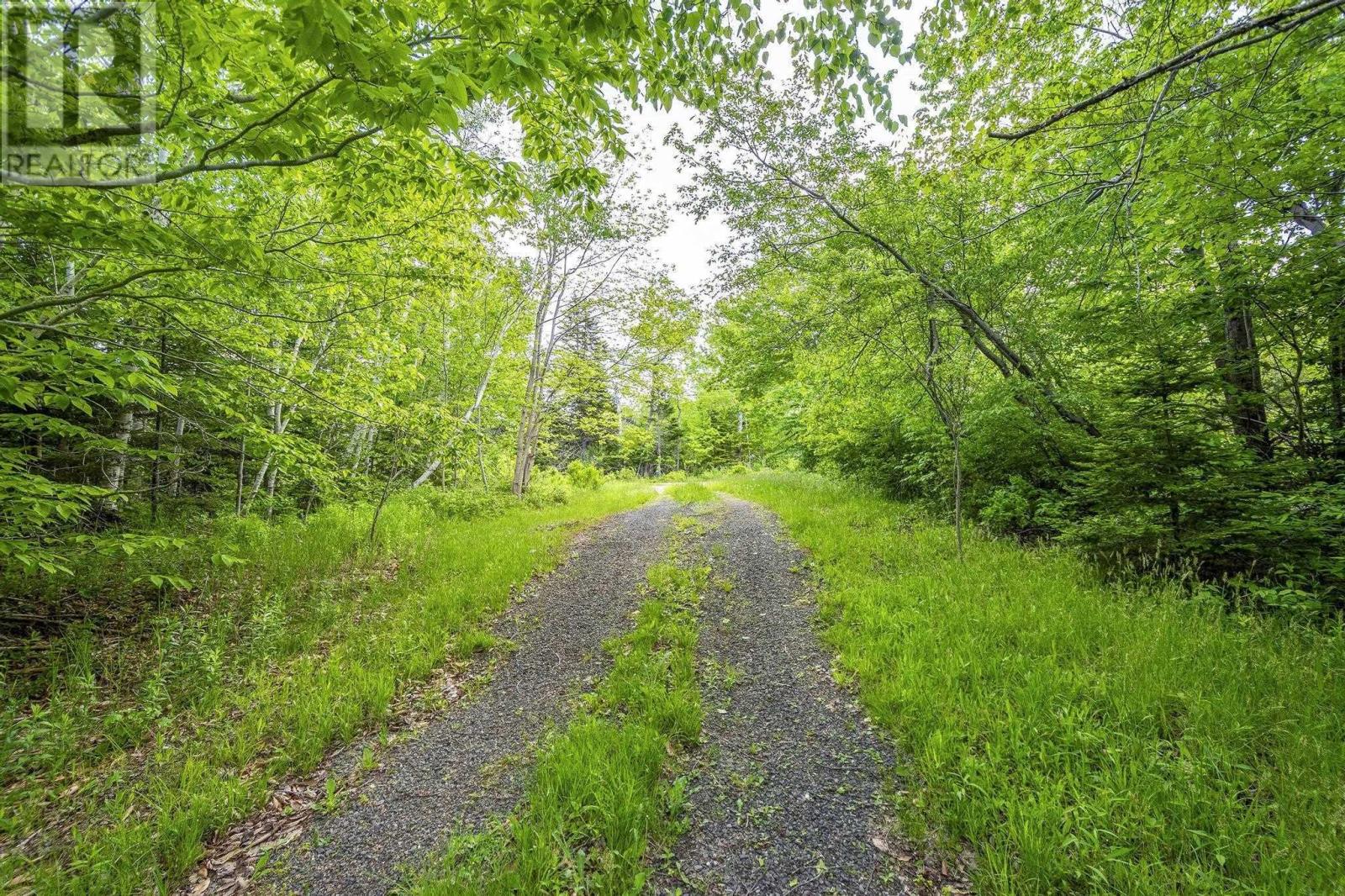 10 Highway, New Albany, Nova Scotia  B0S 1P0 - Photo 4 - 202514419