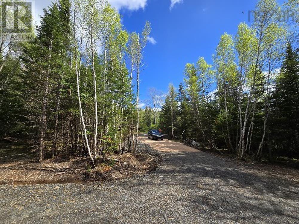 Lot 23-3 Chesley Road, Barss Corner, Nova Scotia  B0R 1E0 - Photo 10 - 202513069
