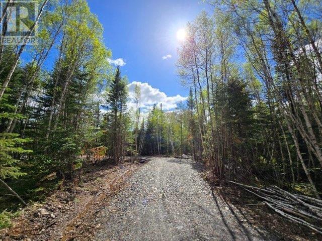 Lot 23-3 Chesley Road, Barss Corner, Nova Scotia  B0R 1E0 - Photo 2 - 202513069