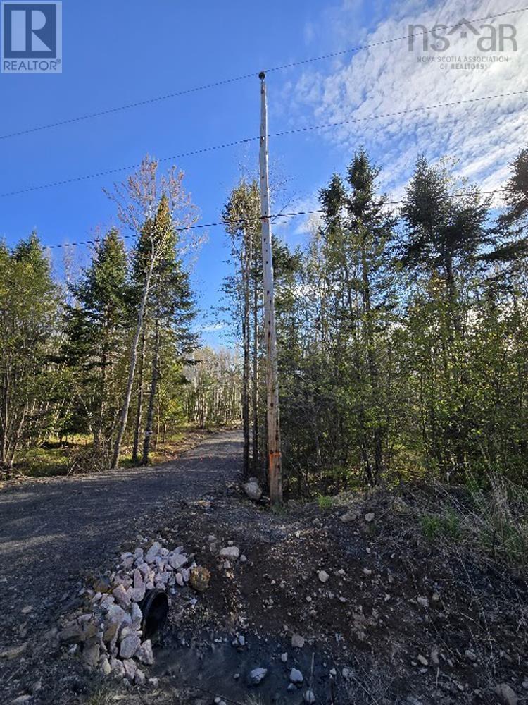 Lot 23-3 Chesley Road, Barss Corner, Nova Scotia  B0R 1E0 - Photo 8 - 202513069