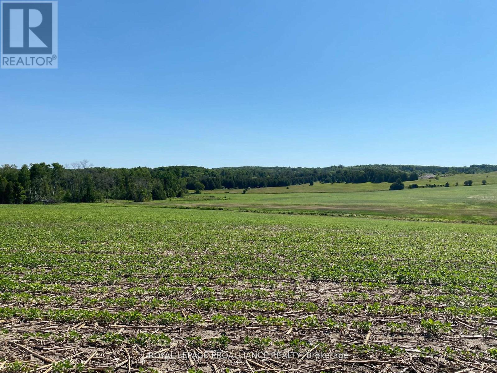 Pt Lt 3 County Rd 45, Hamilton Township, Ontario  K0K 1C0 - Photo 15 - X12255449