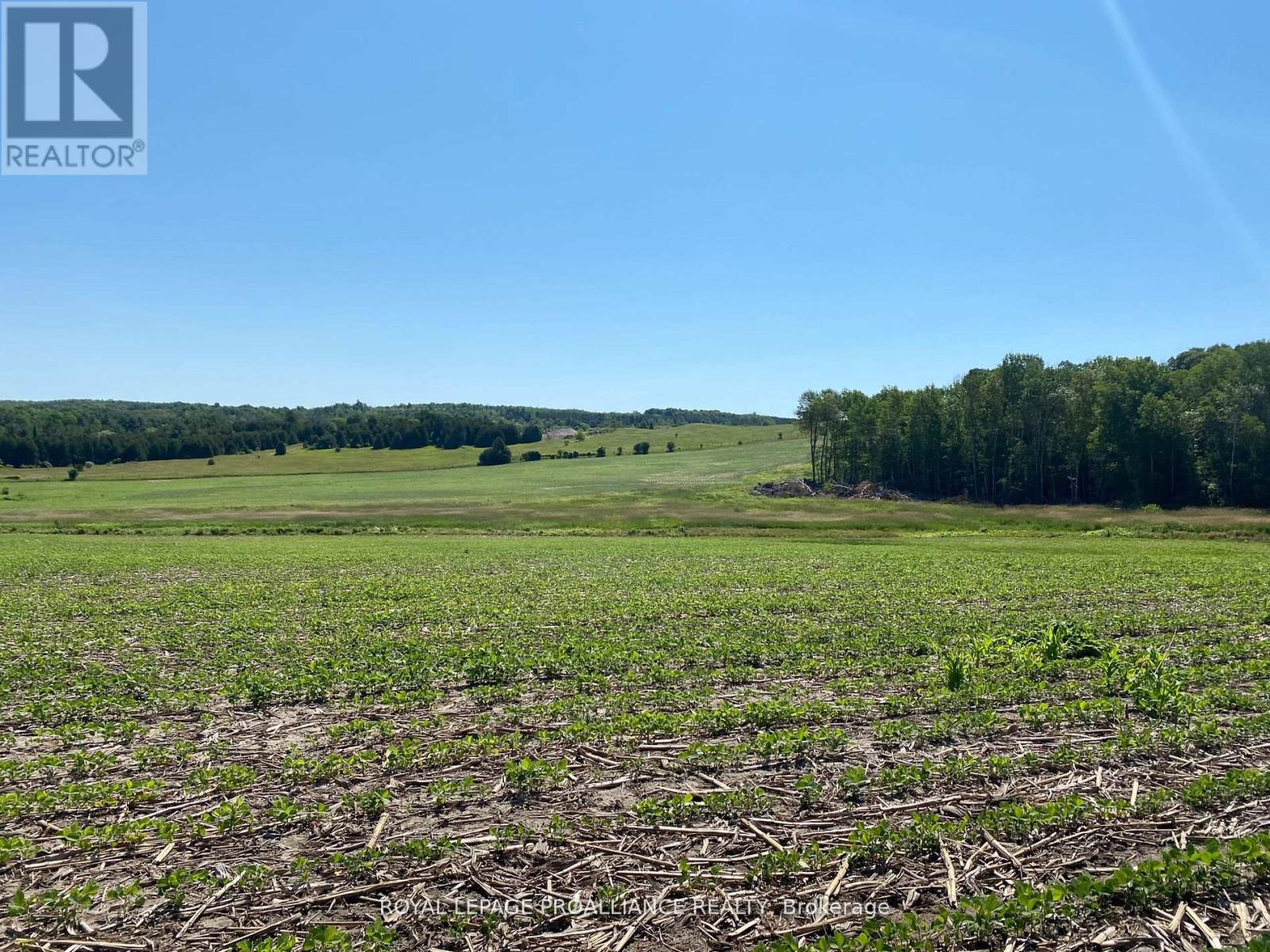 Pt Lt 3 County Rd 45, Hamilton Township, Ontario  K0K 1C0 - Photo 16 - X12255449