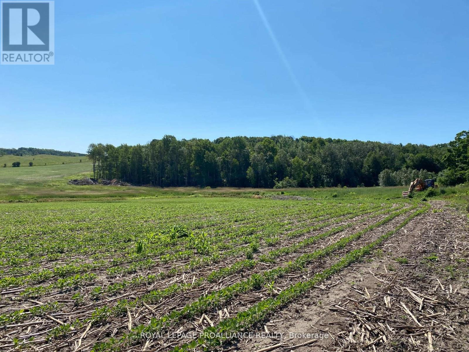 Pt Lt 3 County Rd 45, Hamilton Township, Ontario  K0K 1C0 - Photo 17 - X12255449