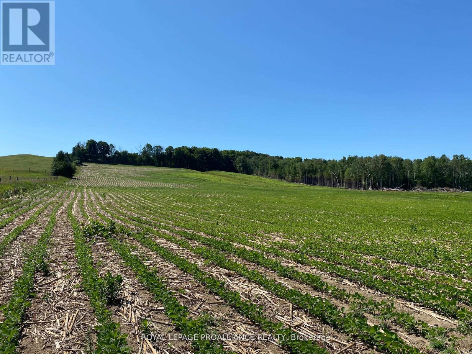 Pt Lt 3 County Rd 45, Hamilton Township, Ontario  K0K 1C0 - Photo 32 - X12255449