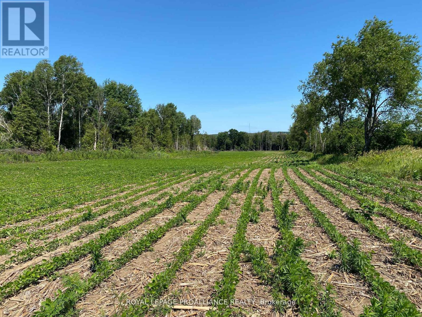 Pt Lt 3 County Rd 45, Hamilton Township, Ontario  K0K 1C0 - Photo 33 - X12255449