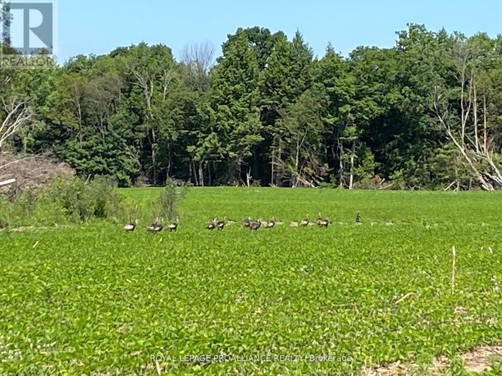 Pt Lt 3 County Rd 45, Hamilton Township, Ontario  K0K 1C0 - Photo 34 - X12255449