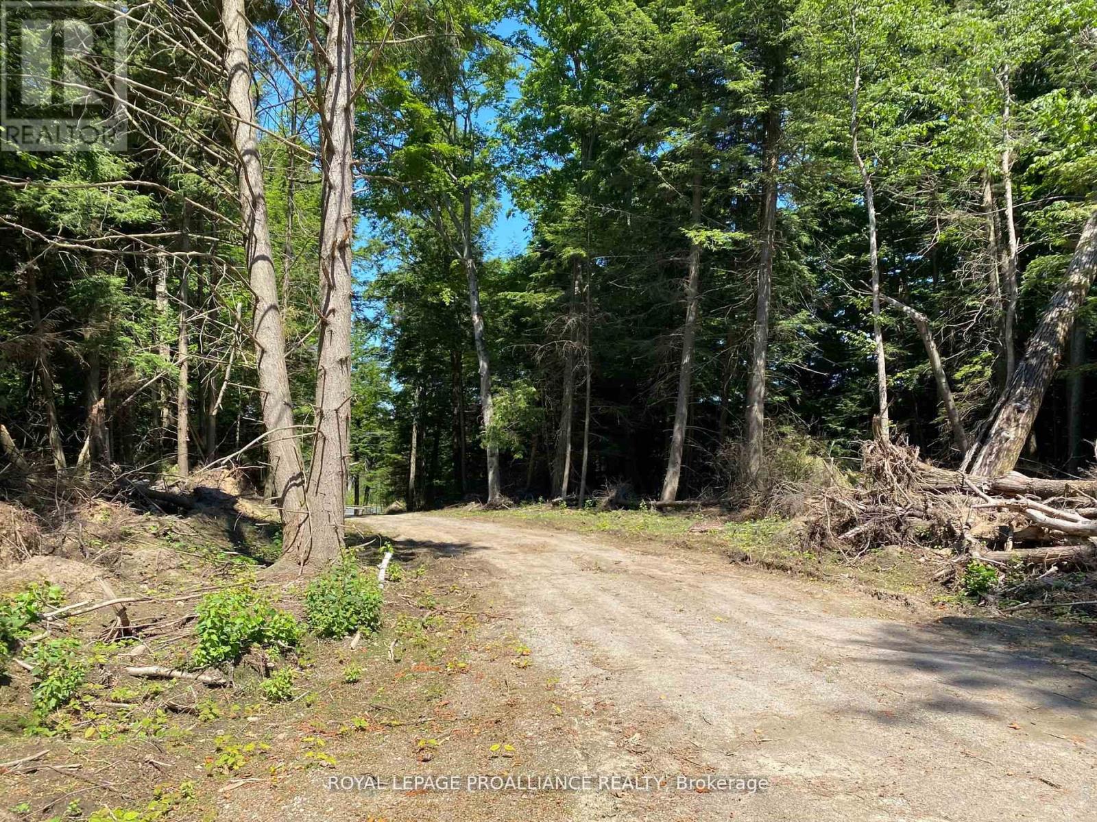 Pt Lt 3 County Rd 45, Hamilton Township, Ontario  K0K 1C0 - Photo 36 - X12255449