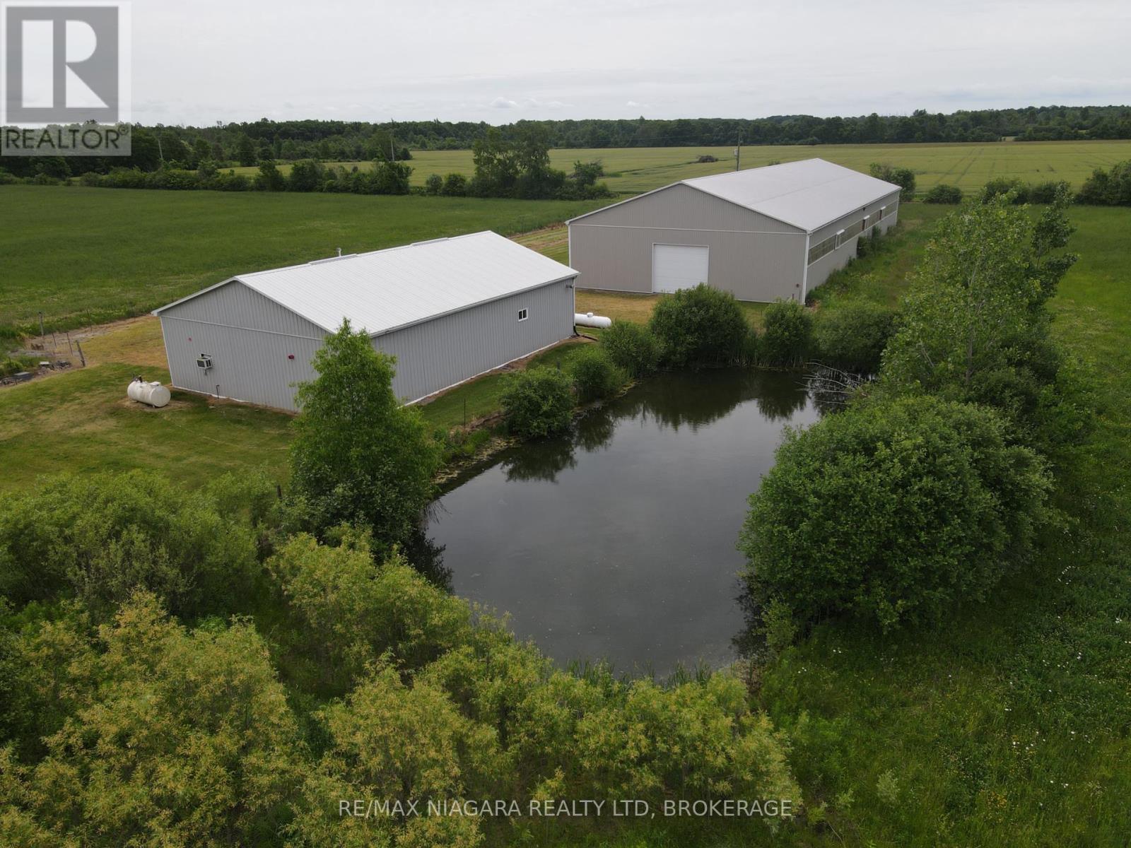 4300 Gilmore Road, Fort Erie (Mulgrave), Ontario  L0S 1S0 - Photo 5 - X12229373