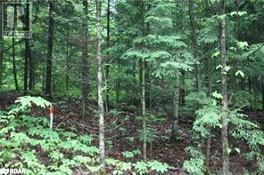 N/a Quarry Road, Bancroft, Ontario  K0L 1C0 - Photo 2 - 40746828