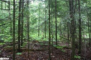 N/a Quarry Road, Bancroft, Ontario  K0L 1C0 - Photo 3 - 40746828