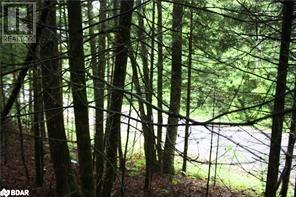 N/a Quarry Road, Bancroft, Ontario  K0L 1C0 - Photo 4 - 40746828