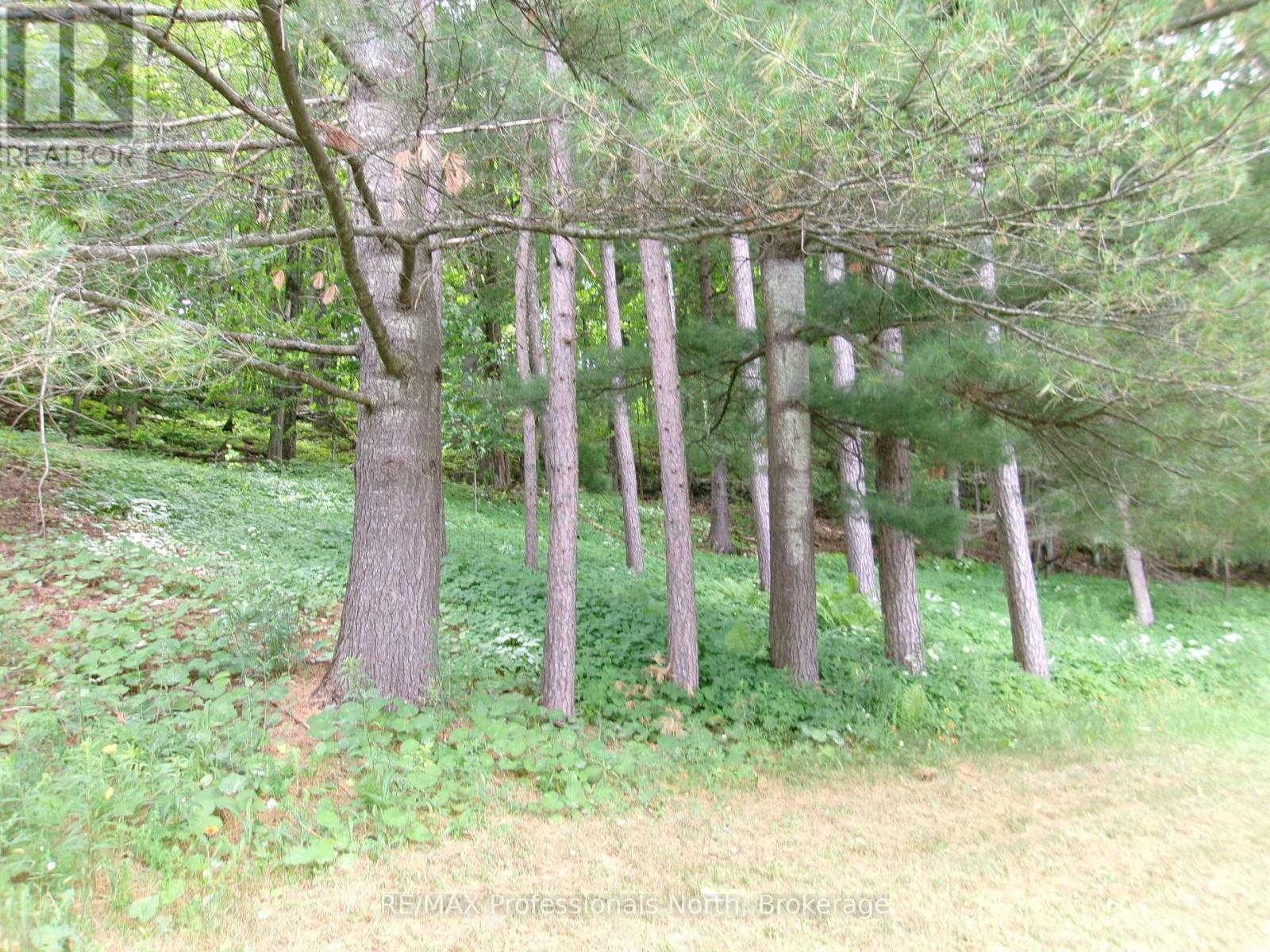 72 Bobcaygeon Road, Minden Hills, Ontario  K0M 2K0 - Photo 16 - X12255616