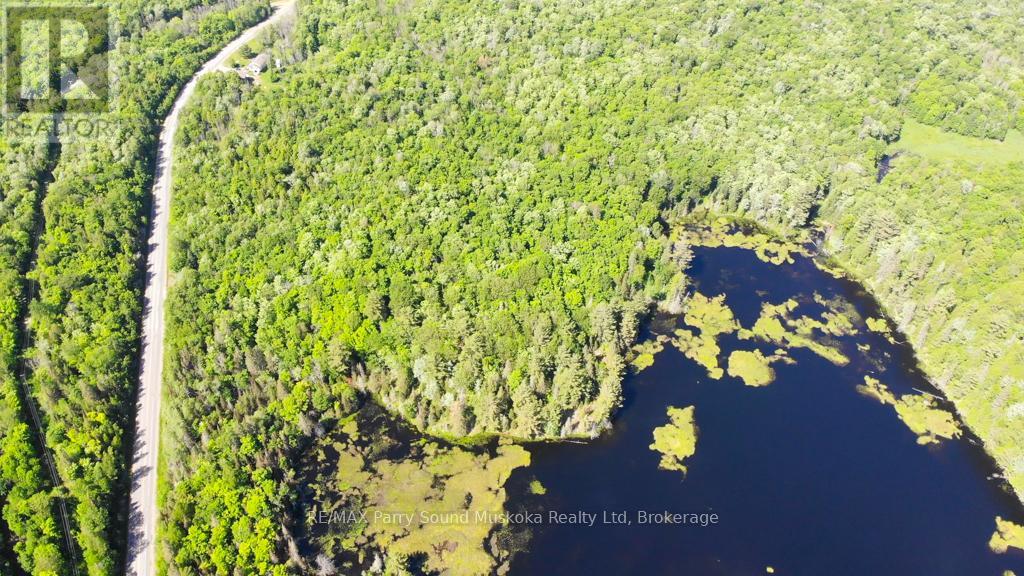 123 Hwy 520, Whitestone, Ontario  P0A 1G0 - Photo 10 - X12091107