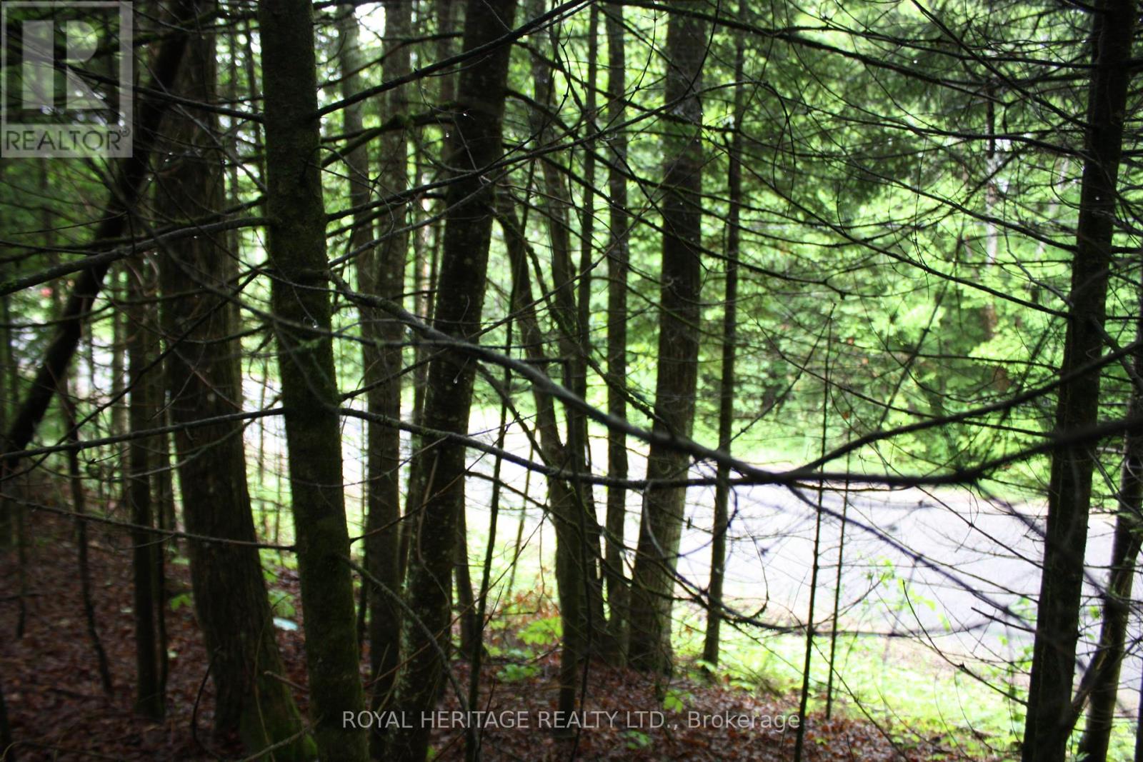 0 Quarry Road, Bancroft, Ontario  K0L 1C0 - Photo 3 - X12255821