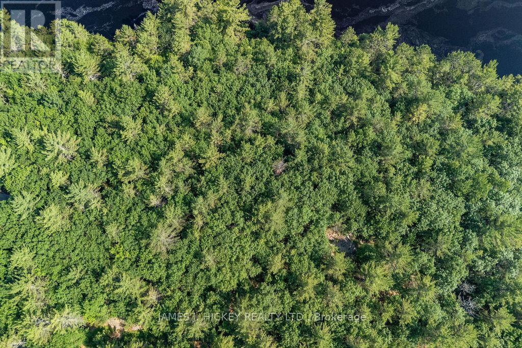 0 Rantz Road, Petawawa, Ontario  K8H 2W8 - Photo 35 - X12078252