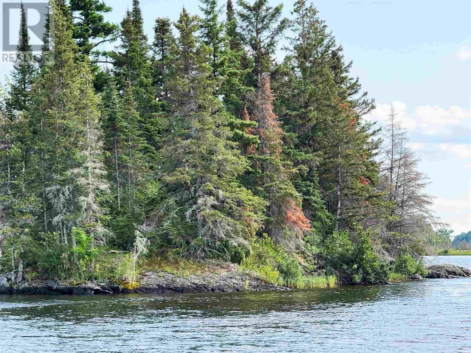 3,9 And 10 Dorion Island Lake Of The Woods, Kenora, Ontario  P0X 1N0 - Photo 33 - TB251833