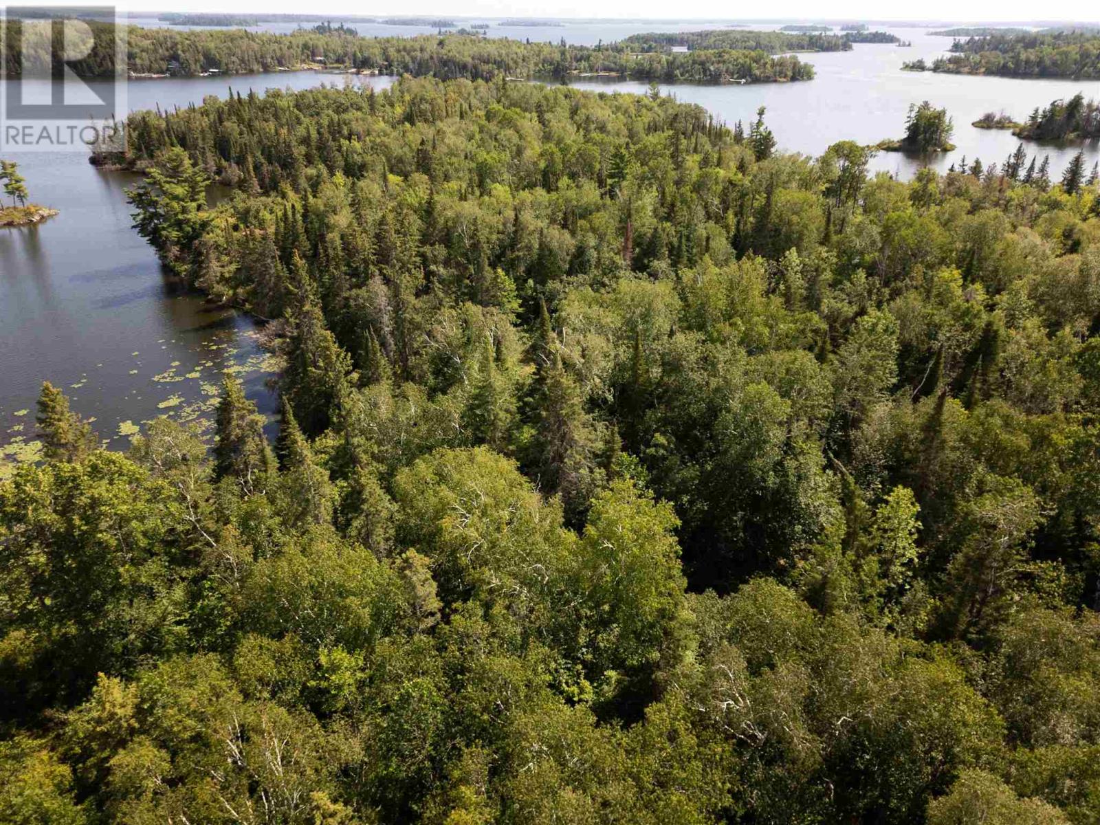 4 And 11 Dorion Island Lake Of The Woods, Kenora, Ontario  P0X 1N0 - Photo 18 - TB251832