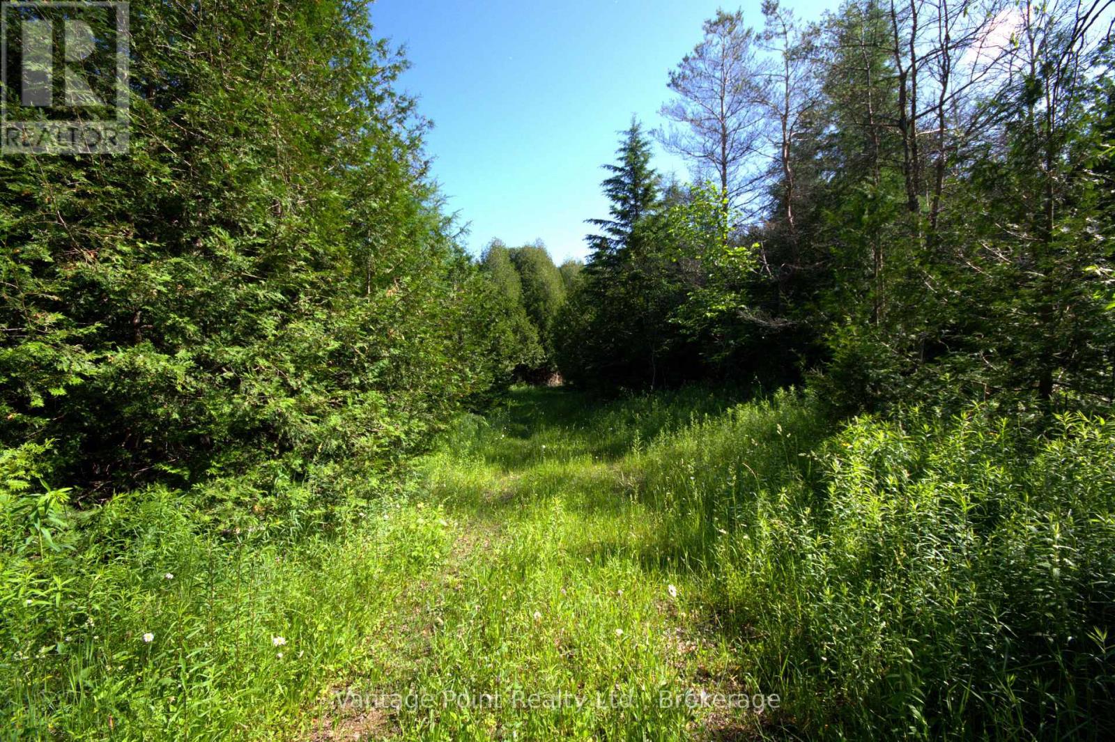 775381 10 Highway N, Chatsworth, Ontario  N0H 1C0 - Photo 16 - X12256111