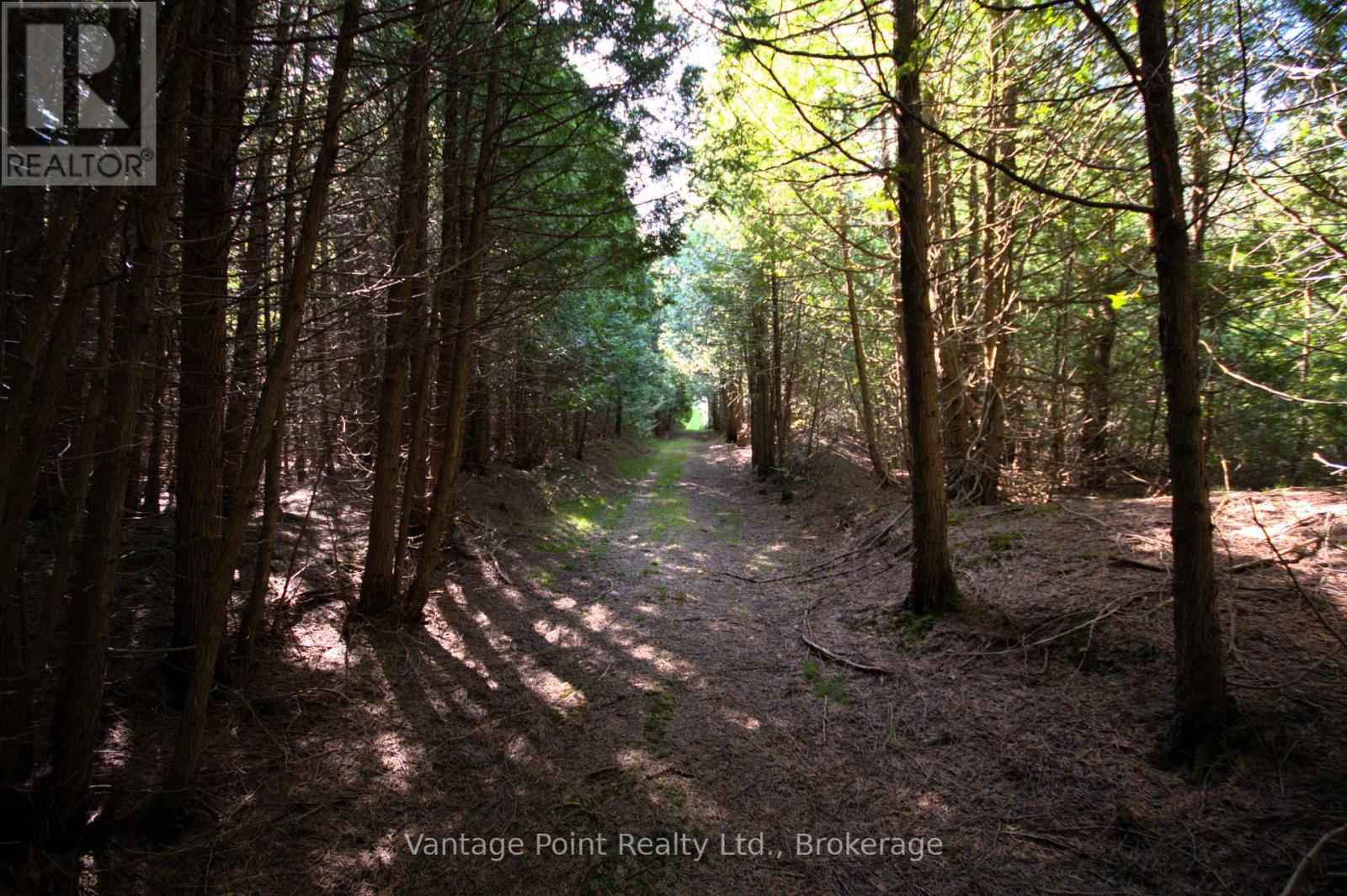 775381 10 Highway N, Chatsworth, Ontario  N0H 1C0 - Photo 17 - X12256111