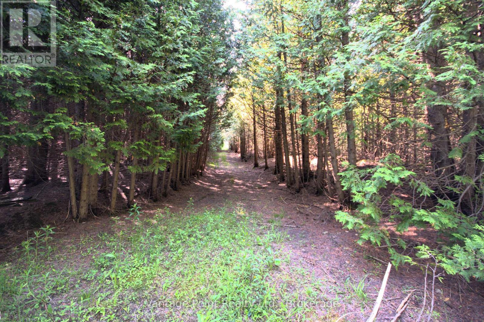 775381 10 Highway N, Chatsworth, Ontario  N0H 1C0 - Photo 18 - X12256111