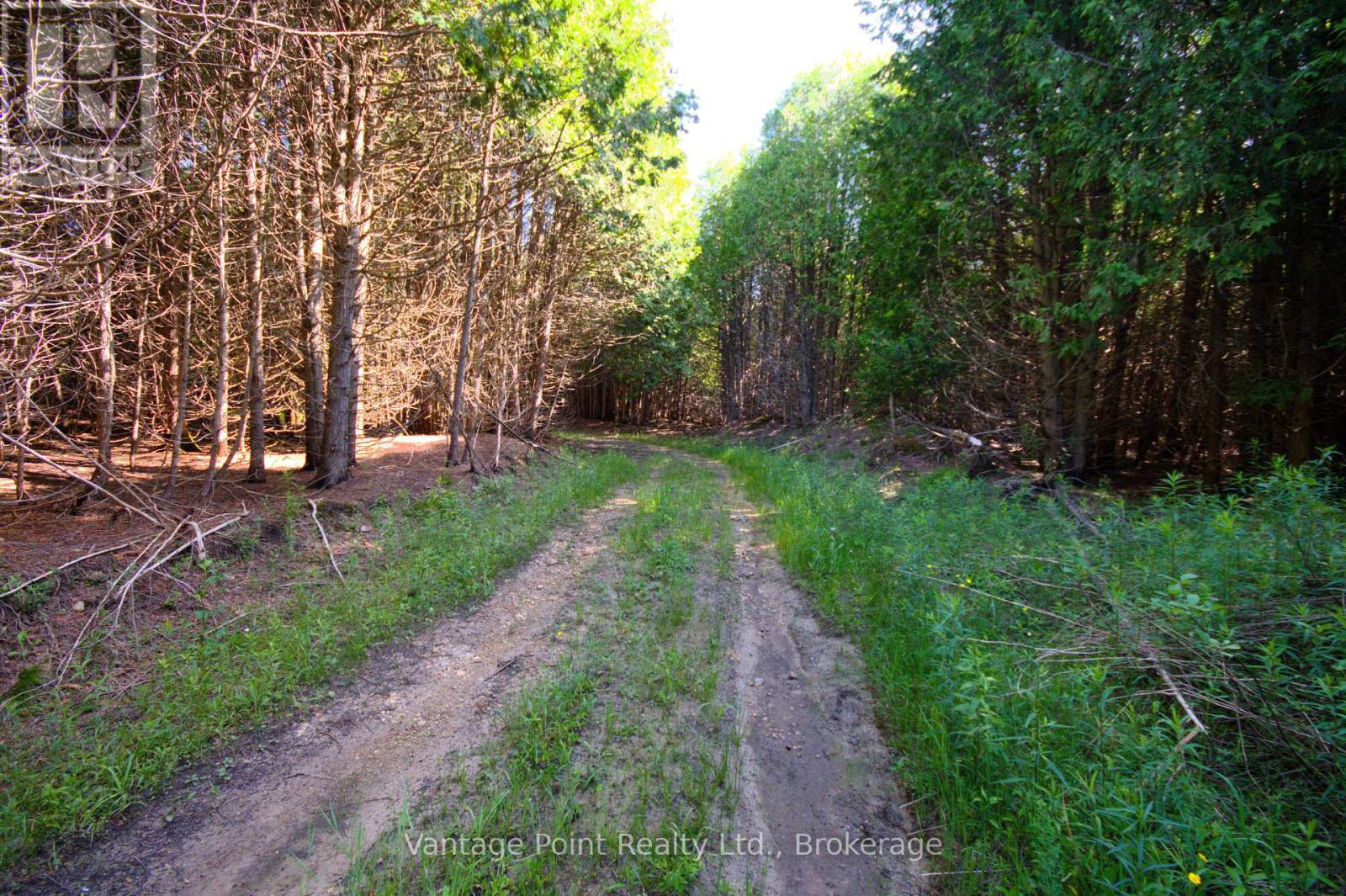 775381 10 Highway N, Chatsworth, Ontario  N0H 1C0 - Photo 19 - X12256111