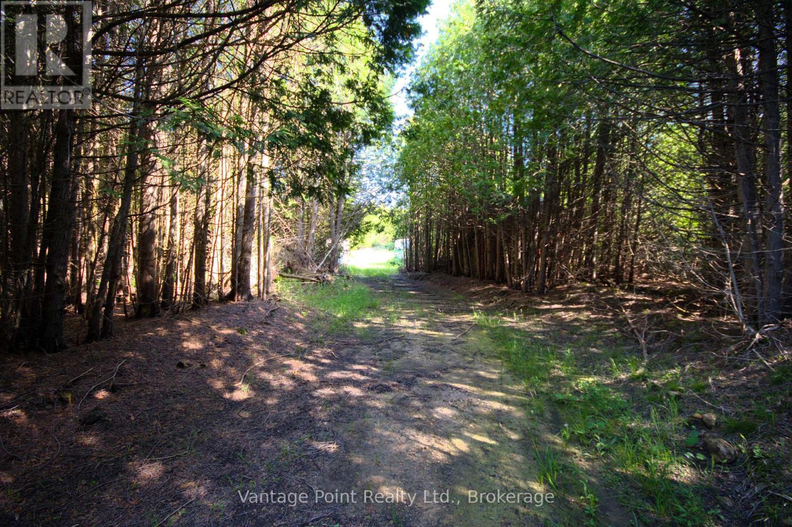 775381 10 Highway N, Chatsworth, Ontario  N0H 1C0 - Photo 20 - X12256111