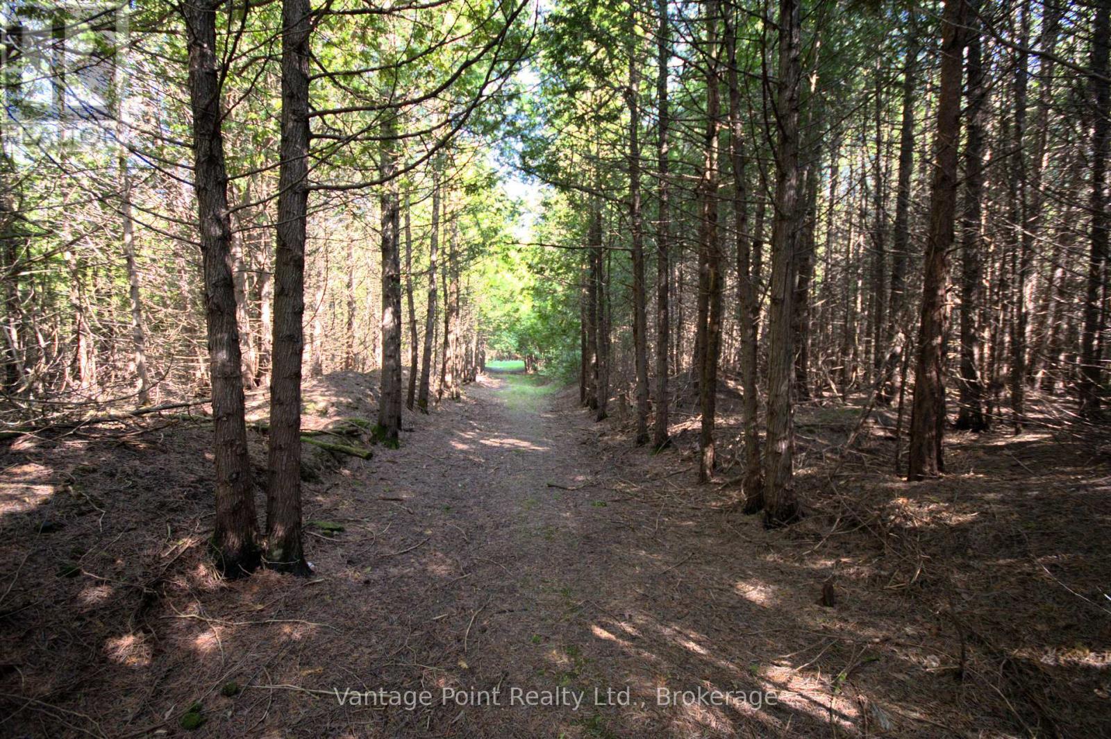 775381 10 Highway N, Chatsworth, Ontario  N0H 1C0 - Photo 22 - X12256111