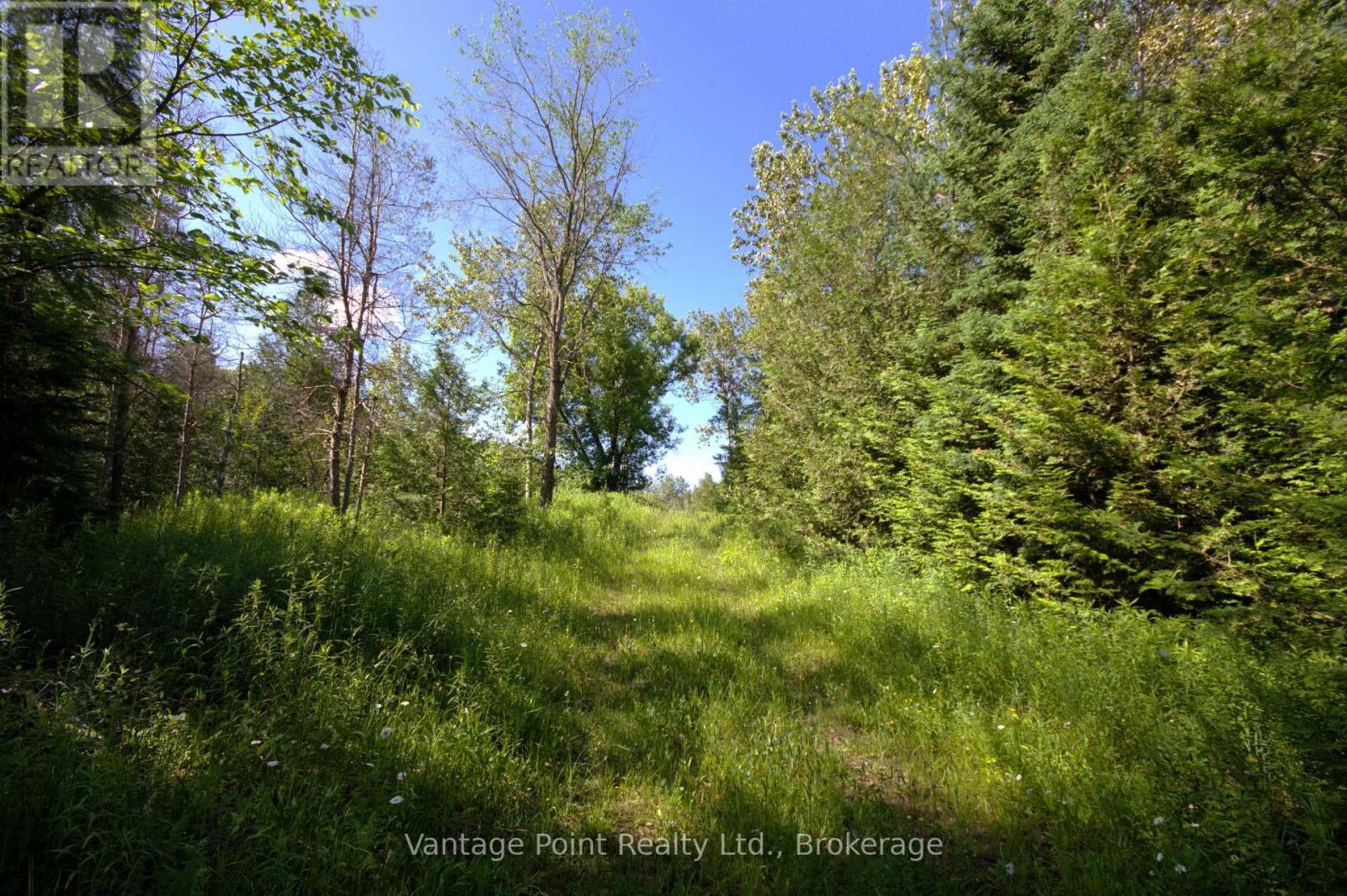 775381 10 Highway N, Chatsworth, Ontario  N0H 1C0 - Photo 23 - X12256111