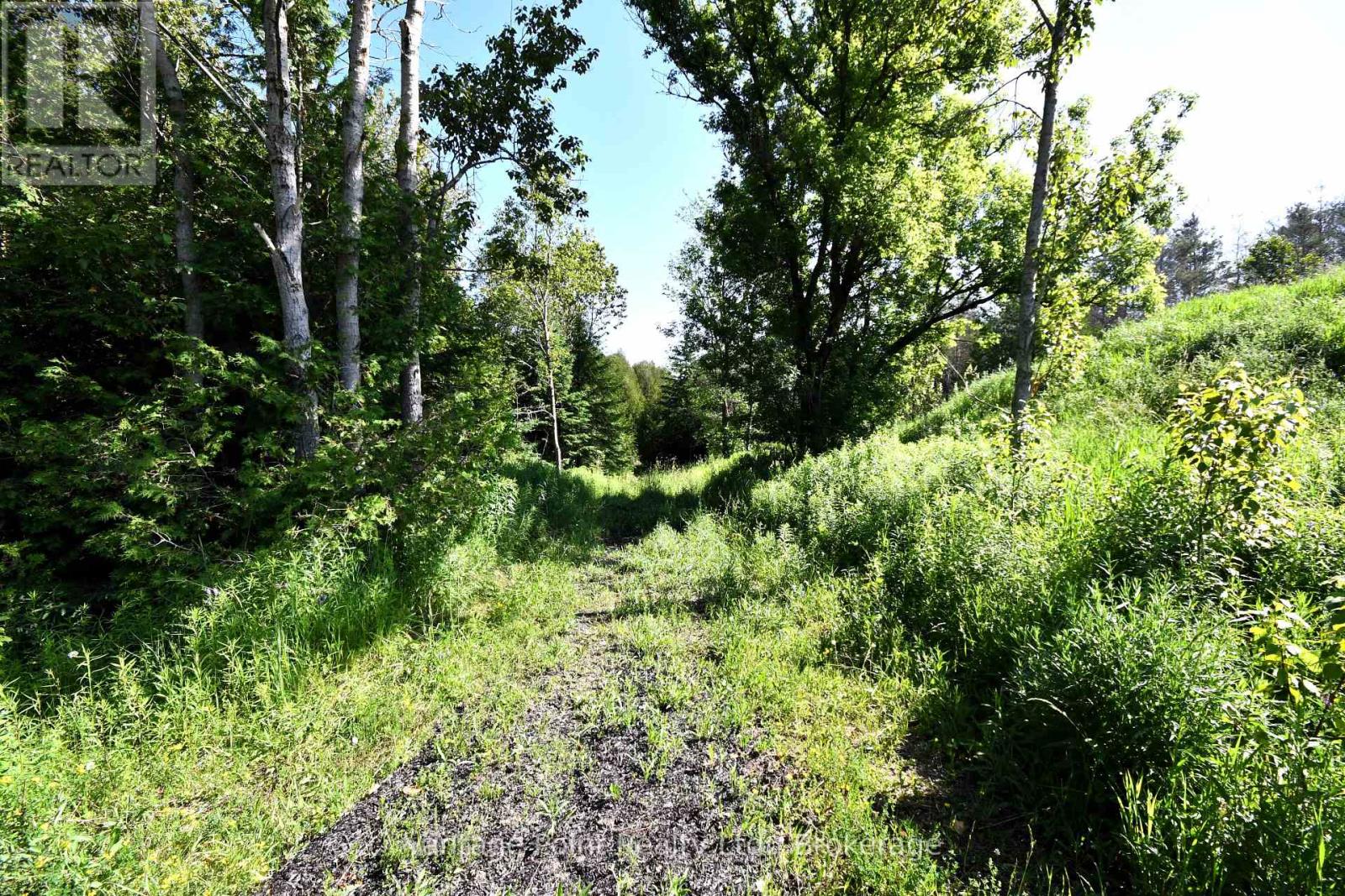 775381 10 Highway N, Chatsworth, Ontario  N0H 1C0 - Photo 24 - X12256111