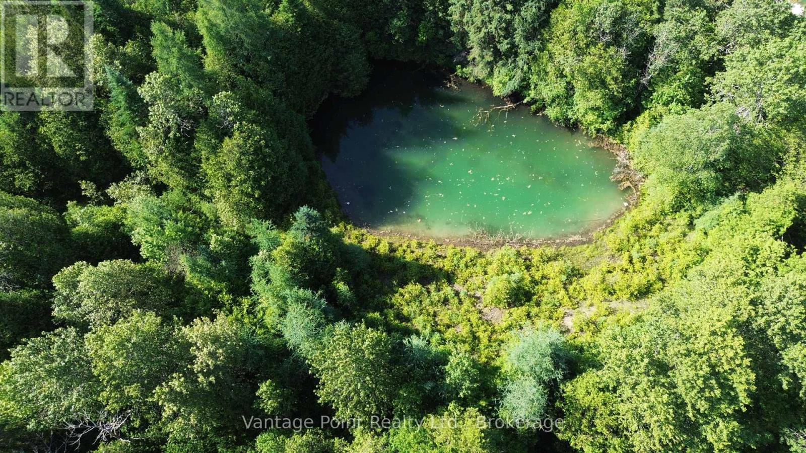 775381 10 Highway N, Chatsworth, Ontario  N0H 1C0 - Photo 4 - X12256111