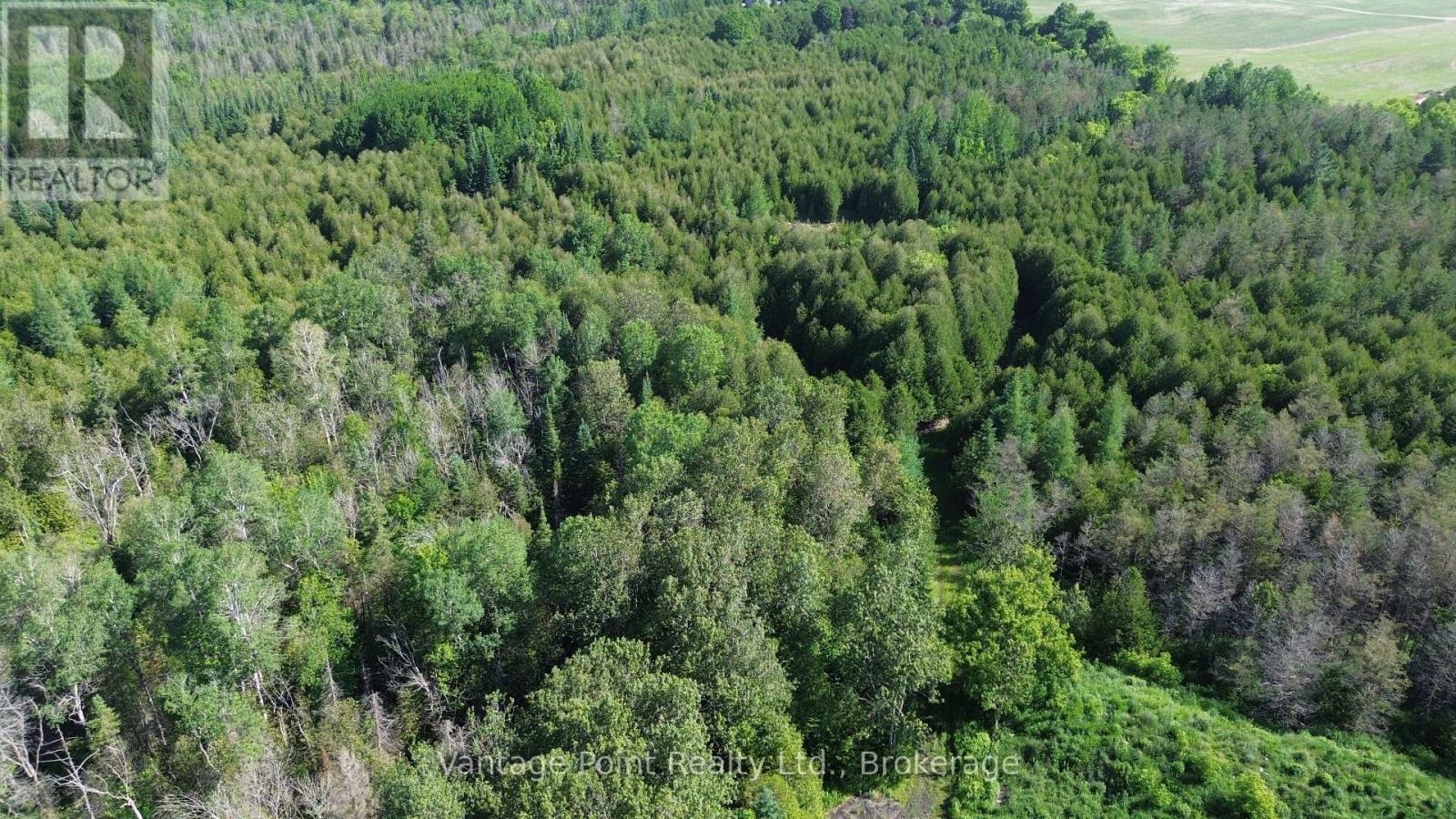 775381 10 Highway N, Chatsworth, Ontario  N0H 1C0 - Photo 7 - X12256111