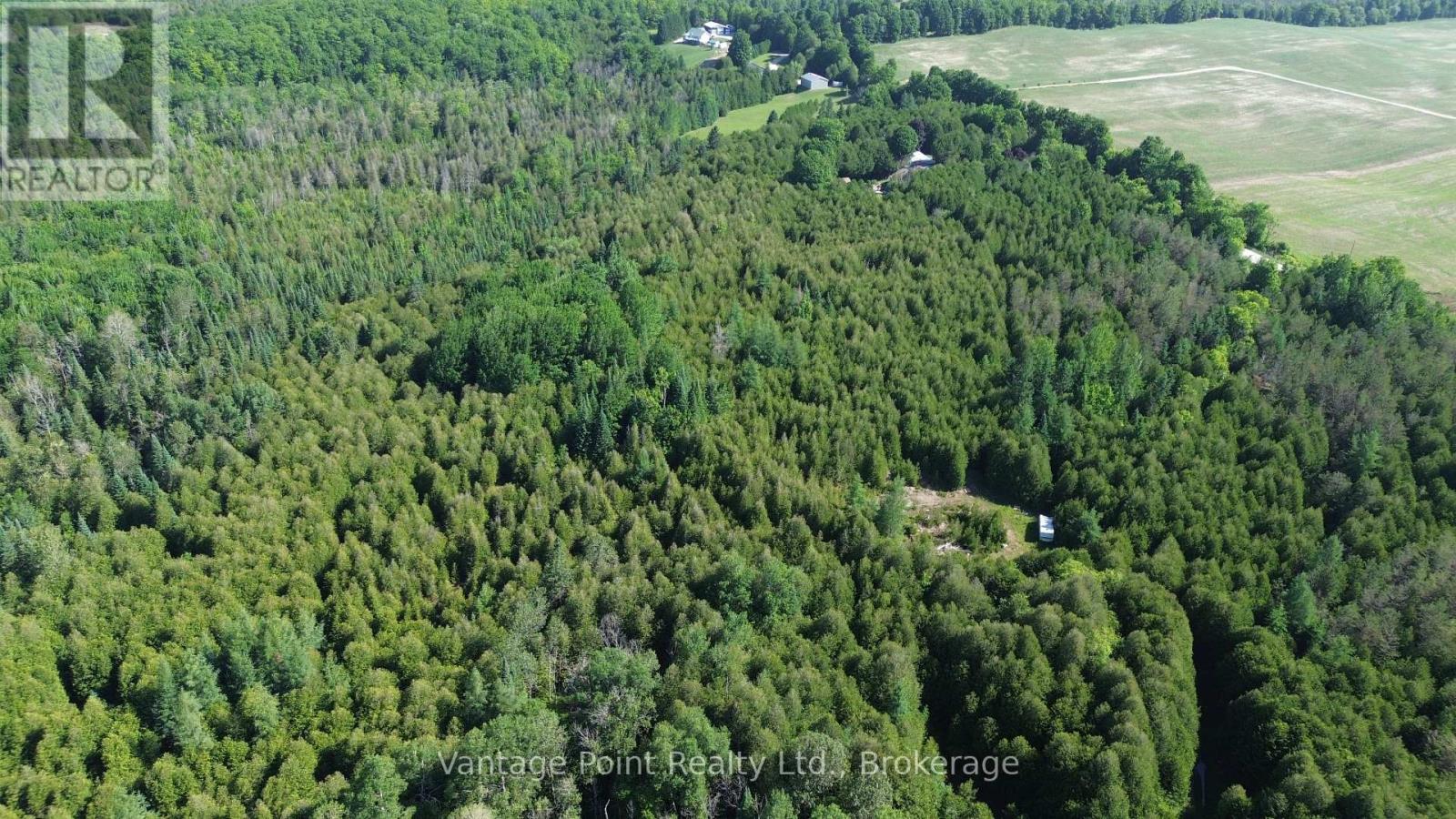 775381 10 Highway N, Chatsworth, Ontario  N0H 1C0 - Photo 9 - X12256111