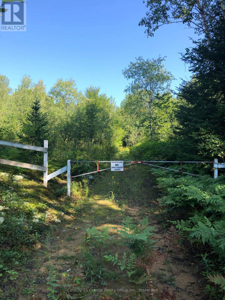 Lot 6-10 Moon Road, Dysart Et Al, Ontario  K0M 1S0 - Photo 2 - X12256112