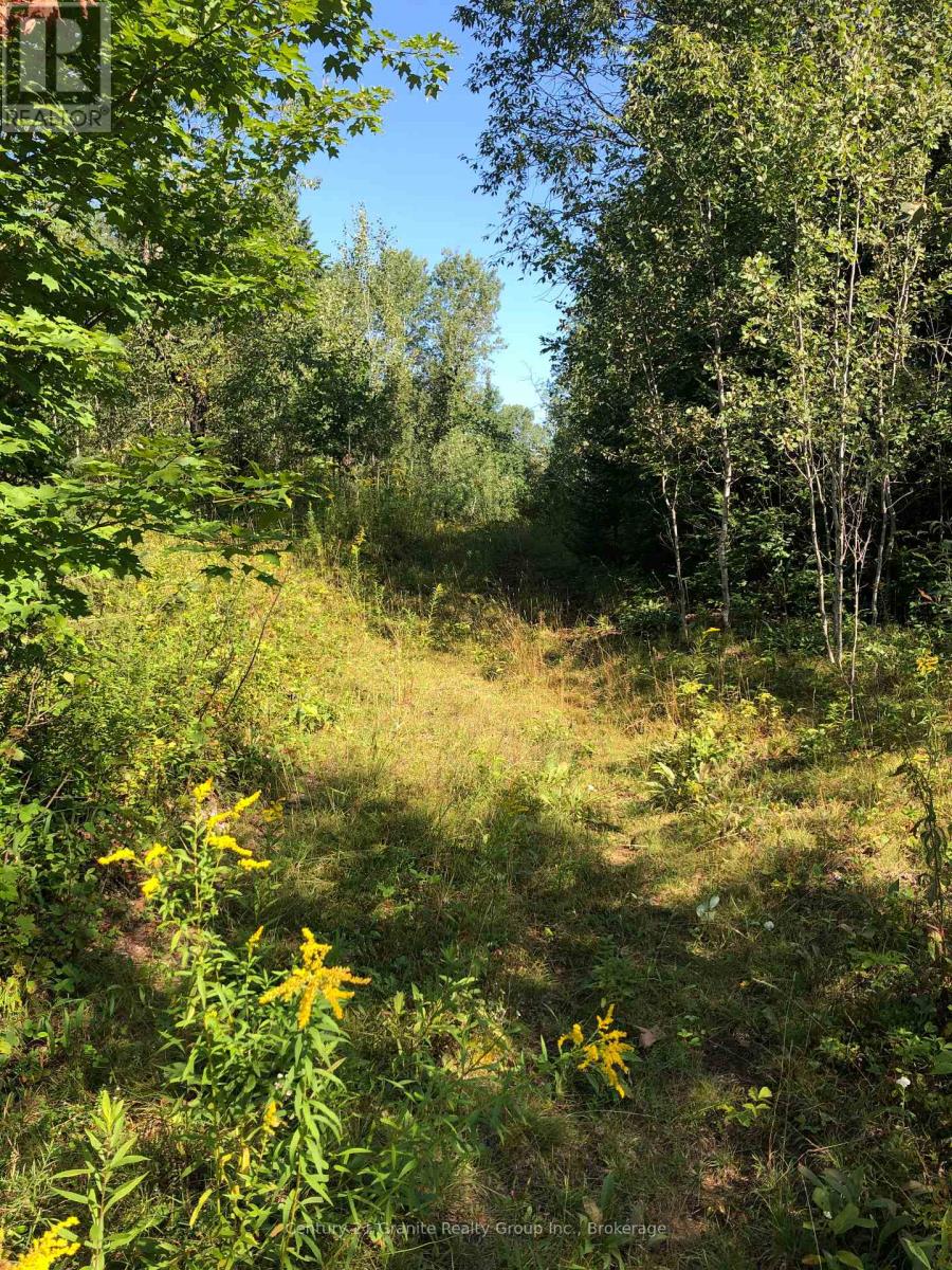 Lot 6-10 Moon Road, Dysart Et Al, Ontario  K0M 1S0 - Photo 3 - X12256112