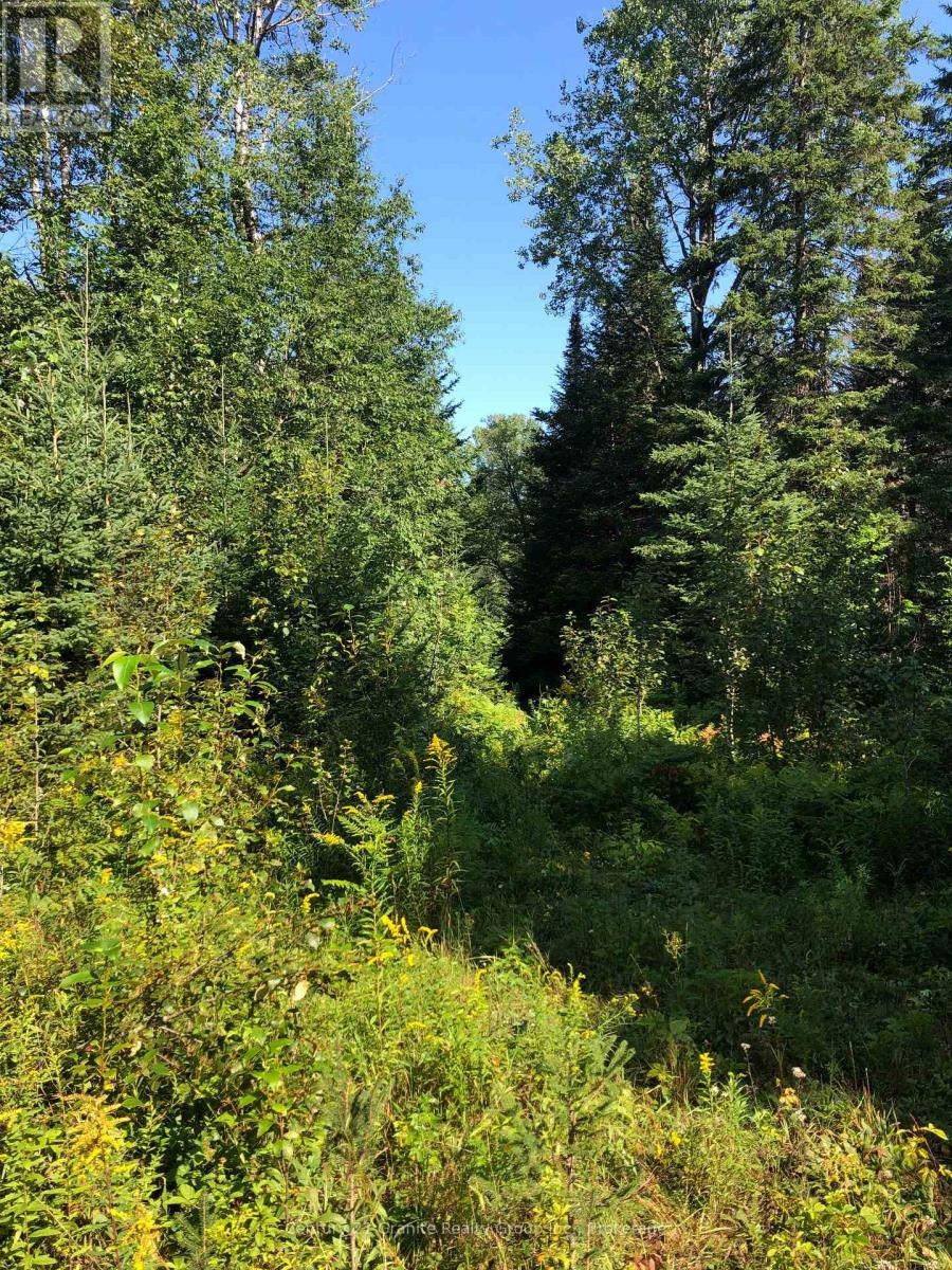 Lot 6-10 Moon Road, Dysart Et Al, Ontario  K0M 1S0 - Photo 4 - X12256112