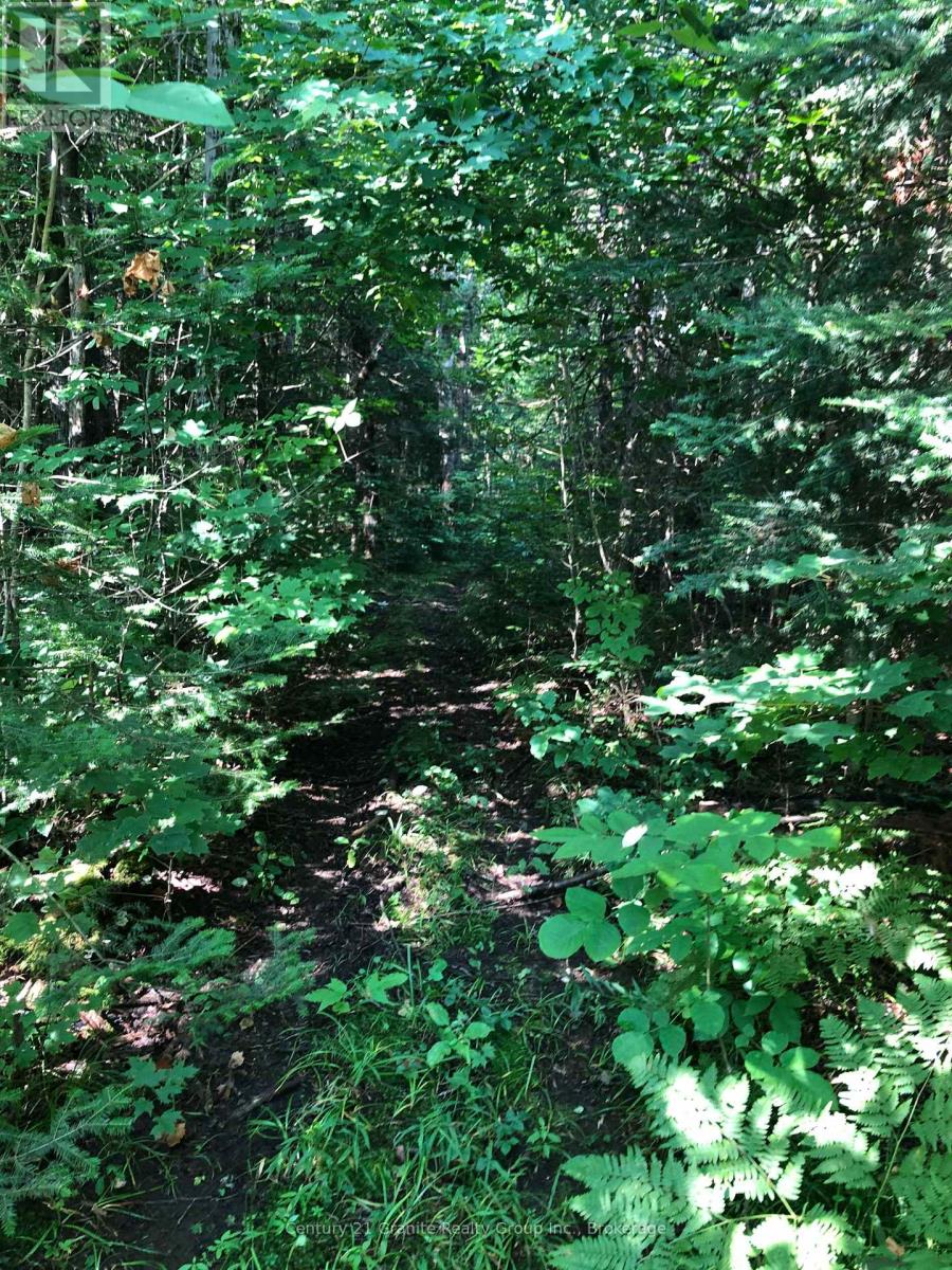 Lot 6-10 Moon Road, Dysart Et Al, Ontario  K0M 1S0 - Photo 5 - X12256112