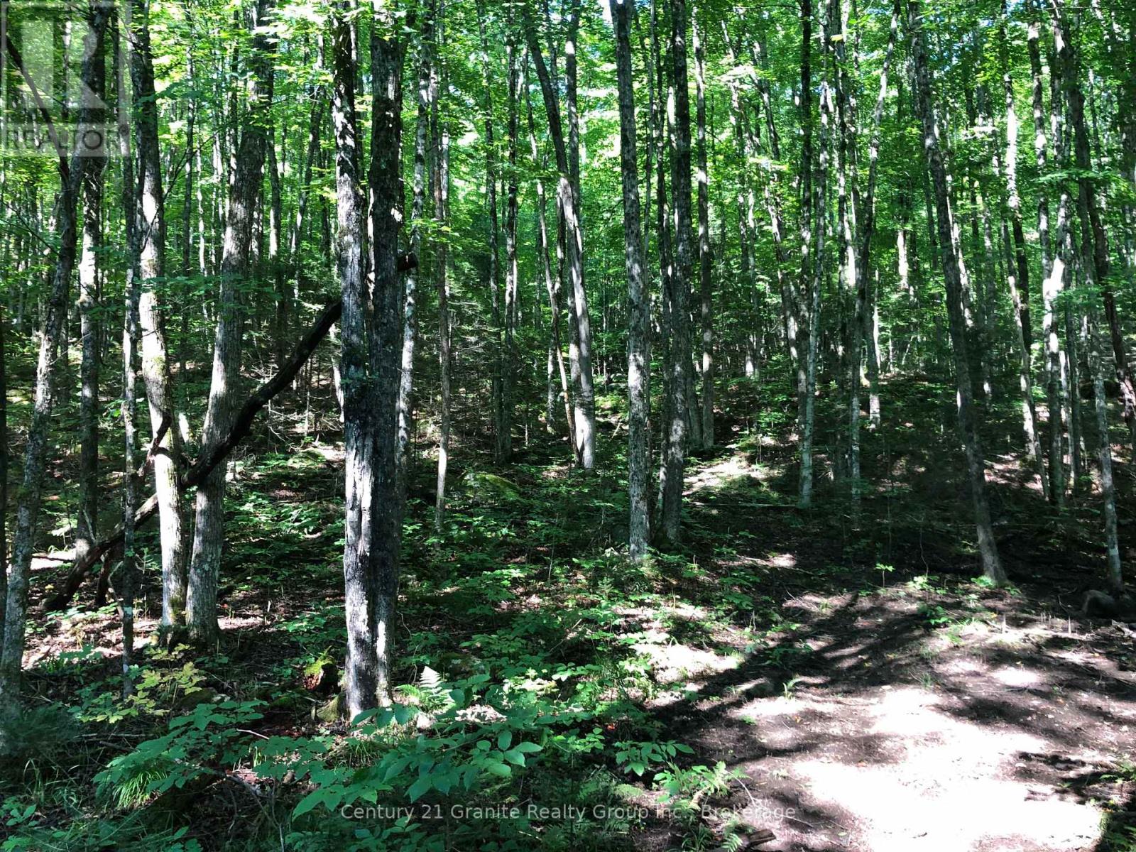 Lot 6-10 Moon Road, Dysart Et Al, Ontario  K0M 1S0 - Photo 7 - X12256112