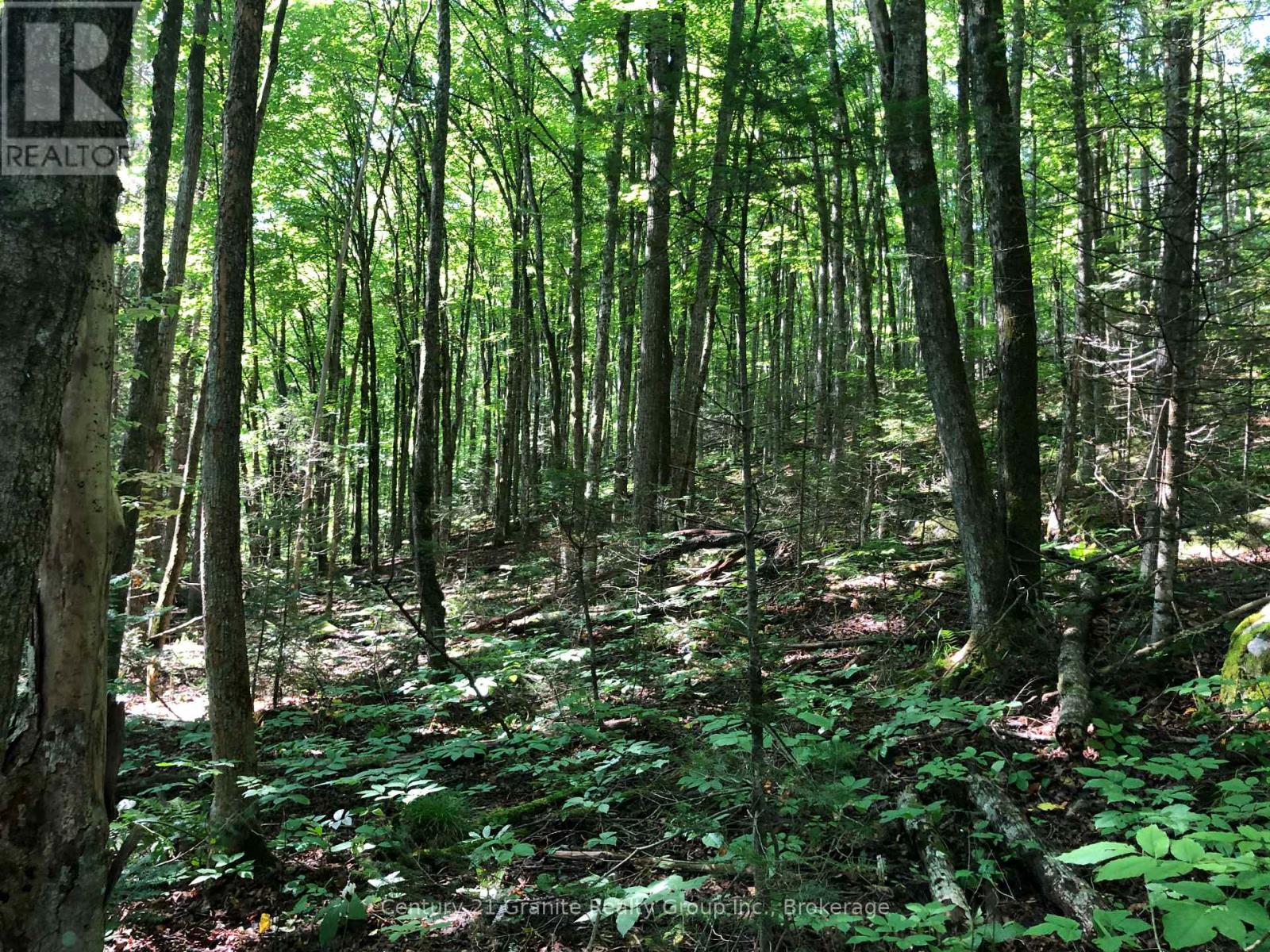 Lot 6-10 Moon Road, Dysart Et Al, Ontario  K0M 1S0 - Photo 8 - X12256112