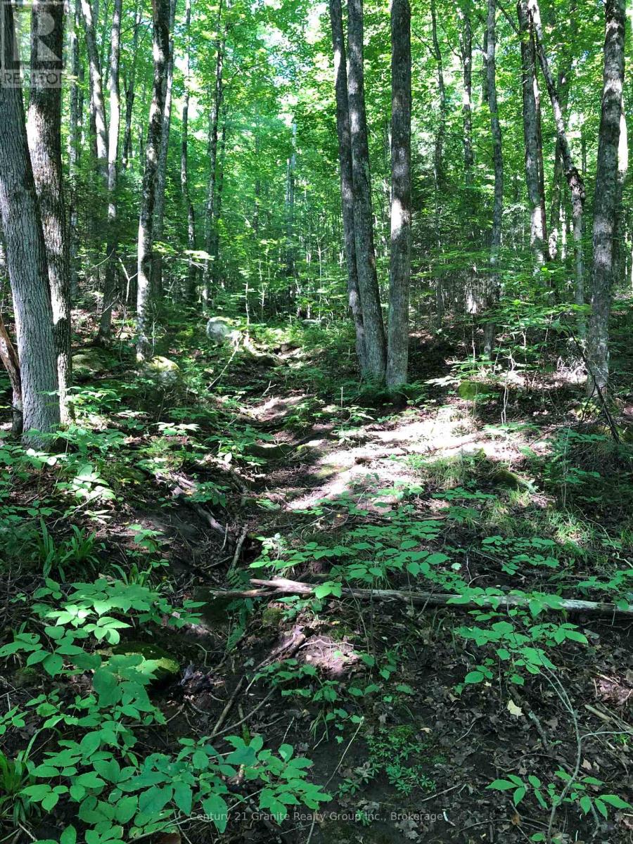 Lot 6-10 Moon Road, Dysart Et Al, Ontario  K0M 1S0 - Photo 9 - X12256112