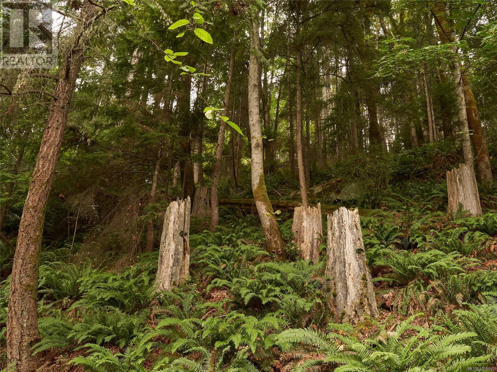 Lot 105 Pequod Cres, Gabriola Island, British Columbia  V0V 0V0 - Photo 3 - 1005069
